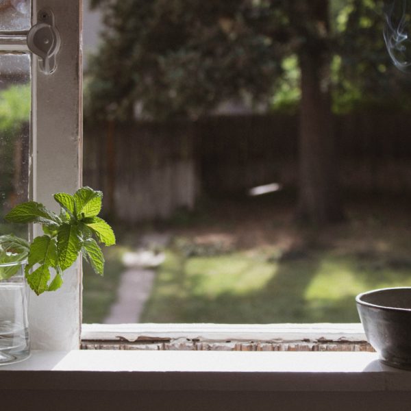 windowsill looking out onto a garden with a mint sprig in a mason jar in focus