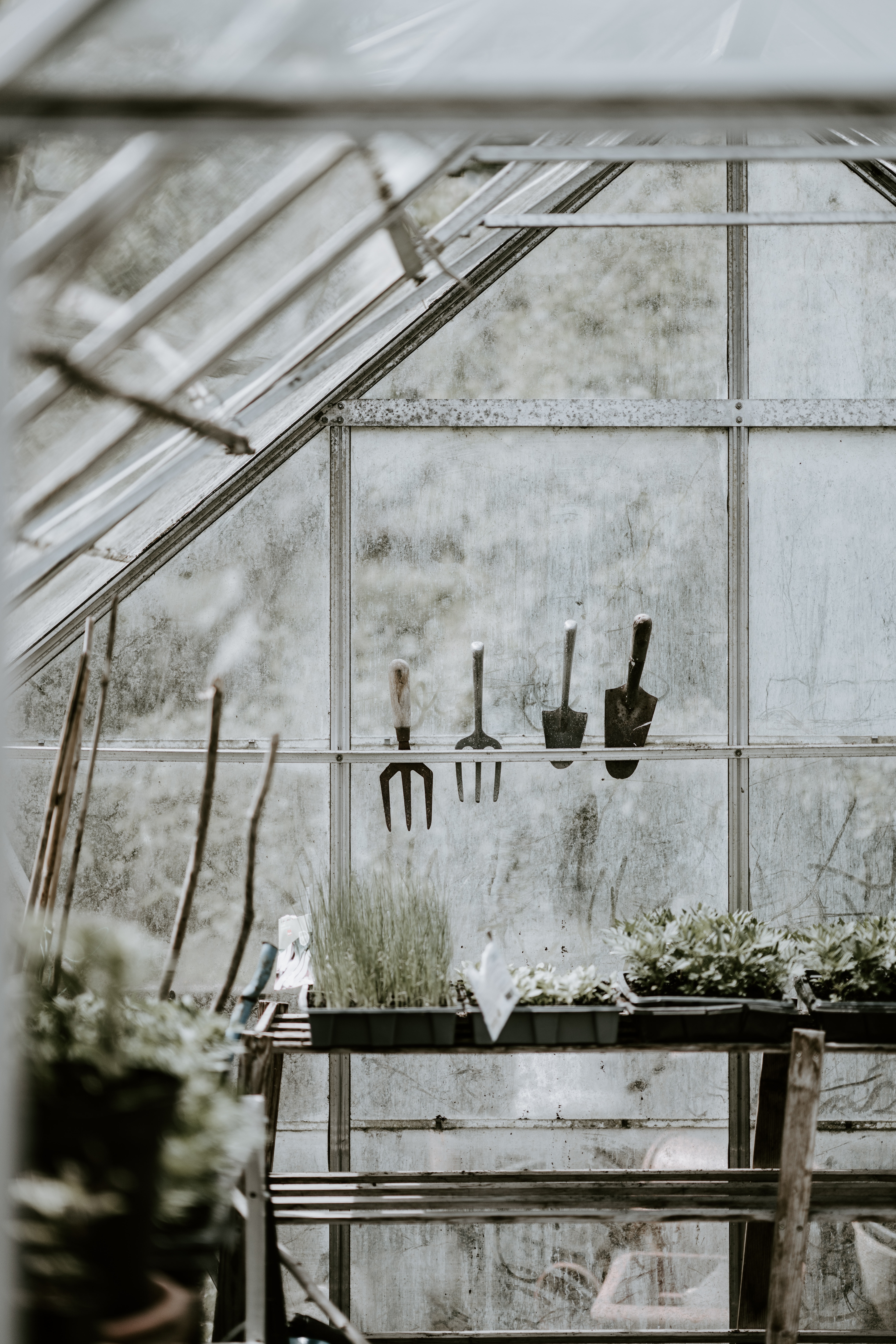 How to Pick the Right Greenhouse for Your Garden