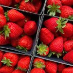 Think Piece: How Firm Do You Like Your Strawberries?